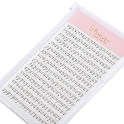 China PBT 12 Rows 16 Tiers XL Tray Premade Fans Pointed Base Eyelash Extension for sale