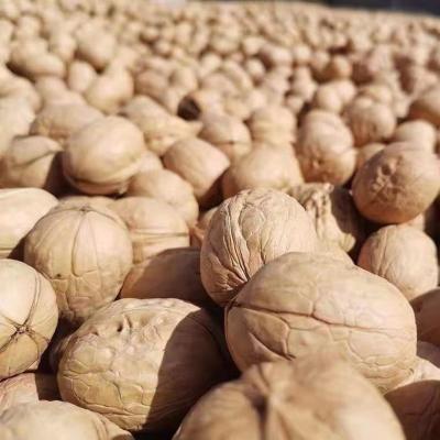 China Xinjiang Shell Factory Lowest Price Dried Walnut Inshell Paper 33 Thin Walnuts for sale