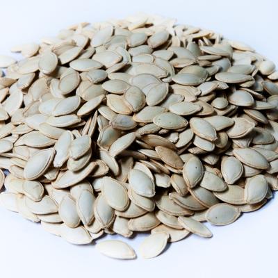 China New dry crops bulk factory supply china skin shiny pumpkin seeds for sale