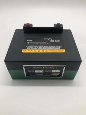 China Lithium LiFePO4 ODM-batterij oplaadbaar voor golfkarretje Te koop