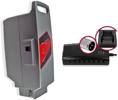 China 7S8P Panasonic 26v batterij, E Bike Battery Pack voor Flyer C Serie T Serie L Serie S Serie Te koop