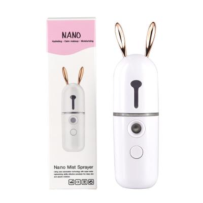 China Pink Handheld Cool Lower Ozone Jet Wholesale Dropshipping Wholesale Skin Care Pocket Mist Steamer Nano Ionic Sprayer for sale