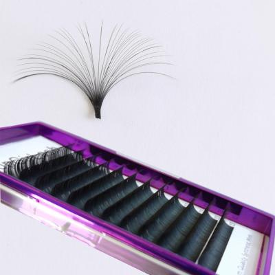 China NEW thick eyelash extension 0.03/.05/.07/.10/.12/.15/.18/.20/.23/.25/.30mm thickness for sale