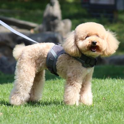 China Thoughtful Lead Dog Harness Lights Mesh Cloth Pet Puppy Dogs Chest Adjustable Strap Collar Harness Lead Leash for sale