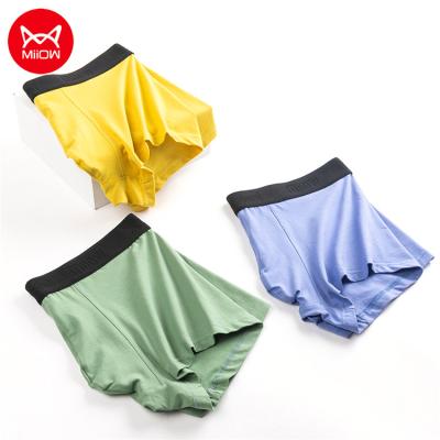 China Miiow Psd Files High Quality Men's Boxers Underwear Viable Fashion Psd Underwear for sale