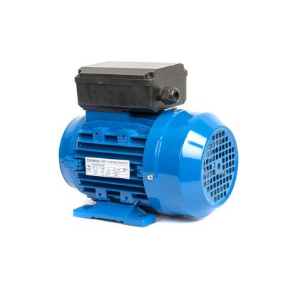 China Manufacturers Professional IP54 Supply AC Motor 750w 220v 380v Induction Motor for sale