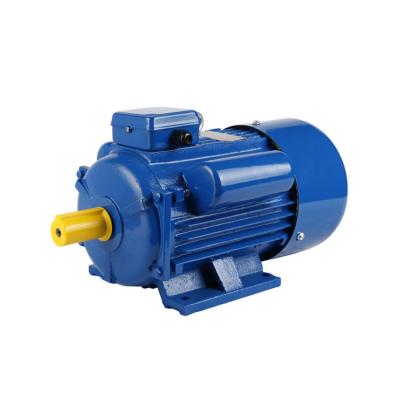 China Professional Production IP54 Induction Motor Ip54 Protection Features Motor For Instruments for sale