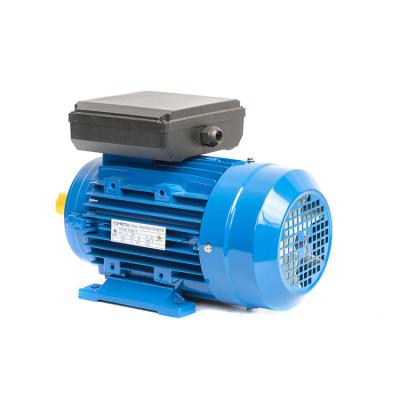 China Good Quality IP54 3 Phases AC Induction Motor Vibration 750w IEC Motor Lightweight For Air-compressor for sale