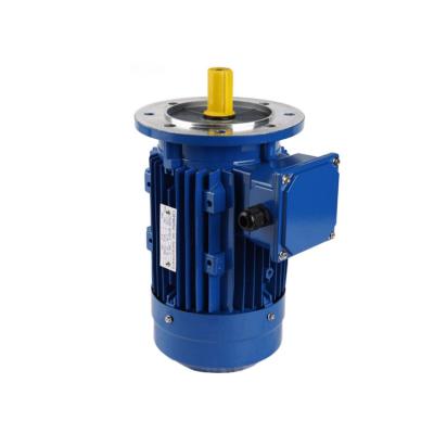 China IP55 Manufacturers Supply Single Phase Motor Low Power Consumption Electric Motor for sale