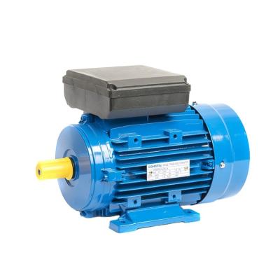 China Factory supply IP55 electric motor 110v 220v single phase 1hp induction motor for sale