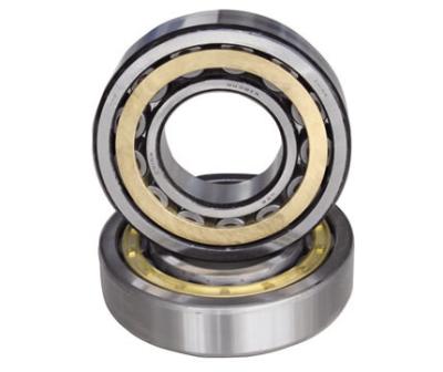 China Machinery Double Row Cylindrical Roller Bearing nn3028 for sale