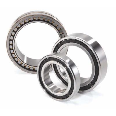 China Machinery Single-row Cylindrical Roller Bearing for sale