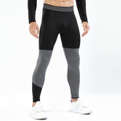 China Sustainable Top fashion tight gym pants for men men's quick dry gyms summer fitness sport leggings men leggings tight for sport for sale