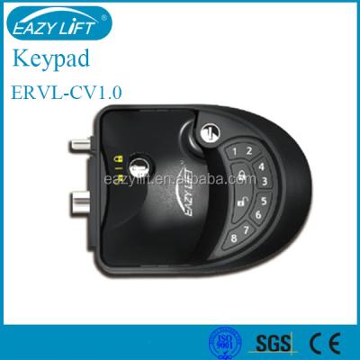 China Ensure Security Keyless Password Car Door Digital Lock for sale