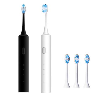 China Portable Ultra Whitening Electric Toothbrush for sale