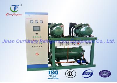 China De industriële van de Eenheids380v Bitzer van de Schroefcompressor Parallel Op hoge temperatuur Te koop