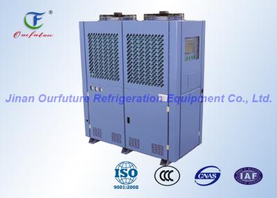 China Supermarket Walk-In Freezer Condensing Unit Danfoss Low Temperature for sale