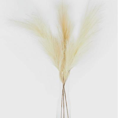 China Manufacturer Supply Feather Faux Gray Large 15cm Long Lasting Artificial Pampas Grass For Wedding for sale