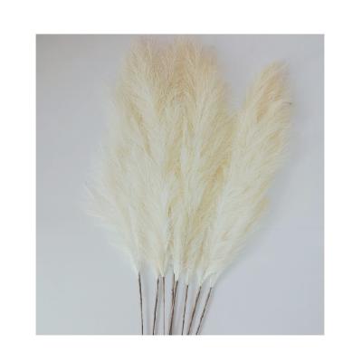 China Factory Wholesale Price Plants Reed Artificial Flowers Artificial Pampas Durable Fluffy Grass For Home Decorations for sale