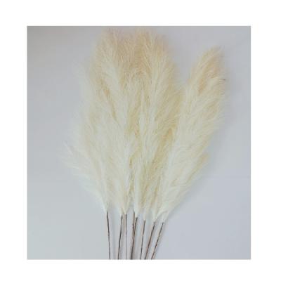 China High Quality Long Lasting Artificial Feather Faux Flowers Durable Black Small Pampas Grass for sale