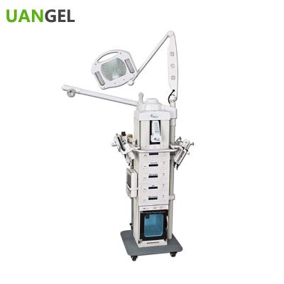 China Skin Revitalizer professional almighty 19 in 1 facial equipment 19 in 1 beauty machine for sale