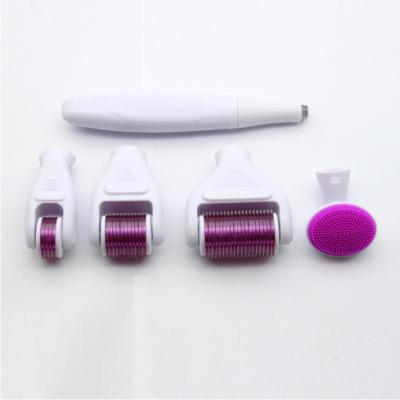 China Portable 6 in 1 Dye Removal Derma Roller System for sale