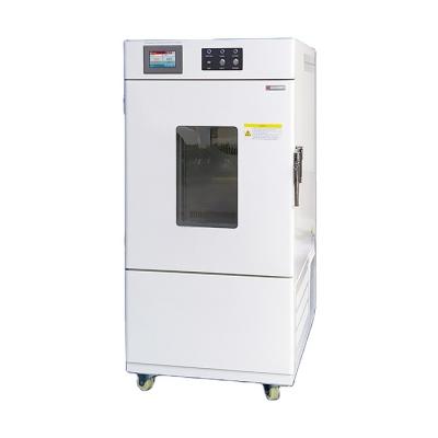 China Customized Artificial Climate Test Chamber For Diverse Applications for sale