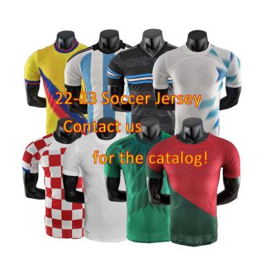 China Shirts & Tops World Custom New Season 22-23 Men's Jersey Football Cup Soccer Tracksuit Wear for sale