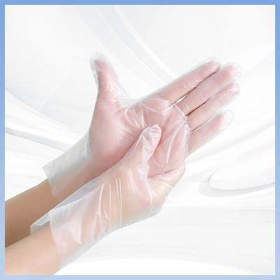 China High Elasticity Disposable TPE Gloves For Gentle And Comfortable Hand Protection for sale