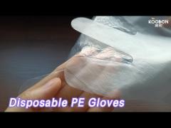 Food Service Disposable PE Gloves Oil Proof Waterproof Sterile Clear