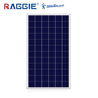 China RAGGIE 5 poly silicon busbar solar cell 300W polycrystalline solar panel for solar system for sale