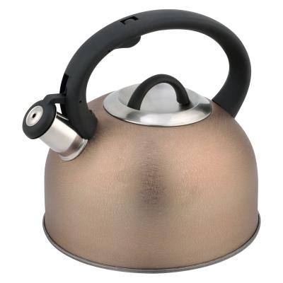 China Durable High Quality Stainless Steel Tea Kettle Double Bottom OEM Whistling Logo for sale