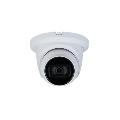 China PAN-TILT IPC-HDW3249TM-AS-NI 2MP Full Color Eyeball AI Detection Fixed-focal Smart Network Camera for sale