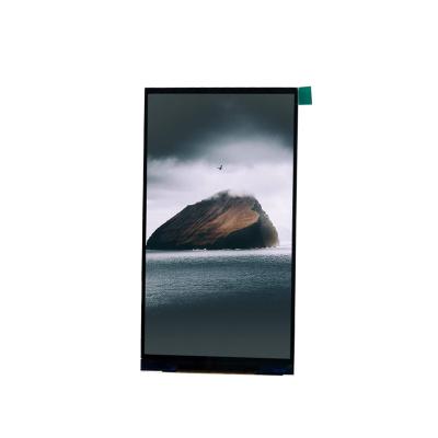 China Hot Selling Goods Using 450 Brightness Touch Screen IPS Panel LCD Display Liquid Crystal Module Monitor 5.5 Inch for sale