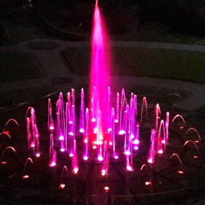 China Customized Stainless Steel Musical Dancing Water Fountain for sale