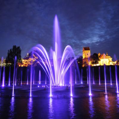 China Customized Custom Design Hotel Music Water Music Dancing Fountain for sale