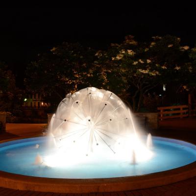 China Customized Garden Decoration Water Fountain Dandelion Music Dancing Water Fountains with Lights for sale