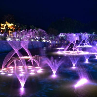 China Customized Stainless Steel Music Water Show Water Seagull Dancing Fountain for sale