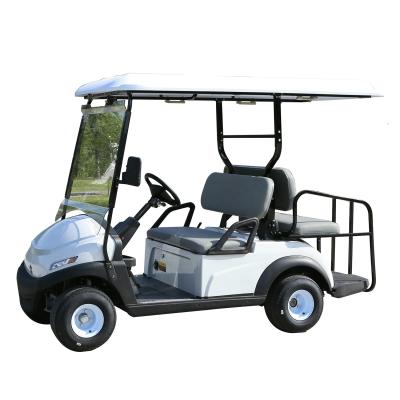 China Reasonable Price Electric Single Seat Cheap Golf Cart For Sale Philippines Golf Tires 205/50-10 for sale