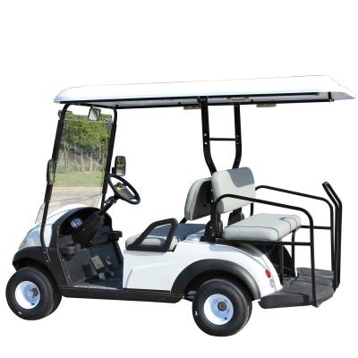 China Top Quality Popular Electric Buggy Golf Cart 2 Seater With AC Promotion Type Golf Tires 205/50-10 for sale