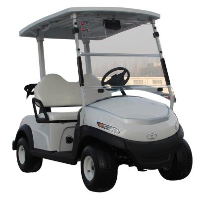 China CE Standard Modern Style Electric Convenient 2 Passenger Quick Keep Golf Cart With Cargo Golf Tires 18/8.5-8 for sale