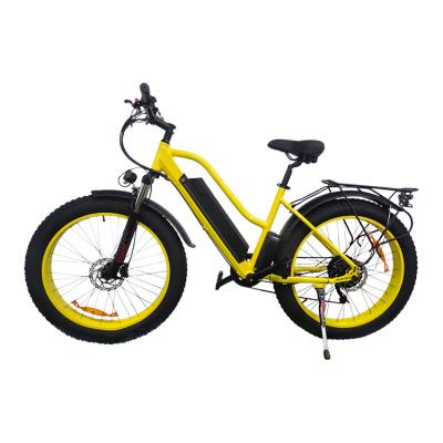 China Aluminum Electric Bike 48V 1000W 26