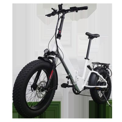 China Aluminum Alloy 20Inch Ebike 500W 48V 14Ah Lithium Battery Step By Easy Rider Electric Folding Fat E Bike for sale