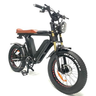 China Adult Electric Bicycle 1000 Battery W 48V 21Ah*2 Aluminum Alloy Dual 200km Range Fat Tire Electric Bike for sale