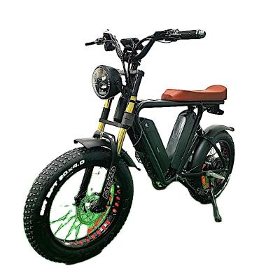 China Aluminum Alloy Bicycle 1000watt Fat Tire Bike Fast Electric Electric Bike 48v 16ah Double Batteries for sale