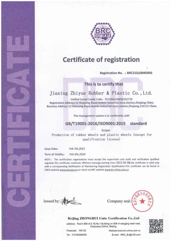 ISO9001 - Jiaxing Zhiyue Rubber & Plastic Co., Ltd.