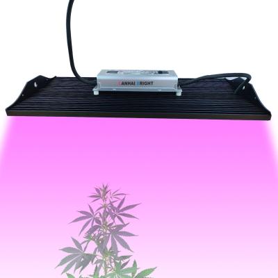 China Seed Starting Best Led Grow Lights 2022 150w 200w 250w Grow Newest IP65 Lighting Indoor Plant Growing Lamp for sale