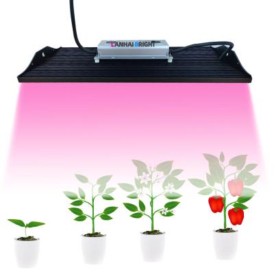 China Seed Starting New Horticulture Sun Lamp 200W Red Blue IR UV Panel LH-GL-P2000 200 Watt Panel Full Spectrum Led Grow Lights For Indoor Plant for sale