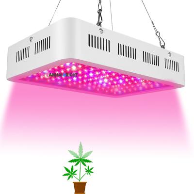 China Seed Starting China Supplier Full Spectrum W 1200 W VEG FLOWER Dual Switch Horticultural LED Grow Lights With High Power Chips Led Beads for sale