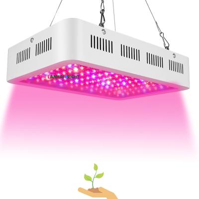 China Seed Starting High Power Indoor Plants Greenhouse Tents Hydroponic Plant Growth Lamp 1000W 1200W 1500W 2000W Full Spectrum Led For Growing Light for sale